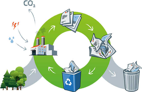 Nos solutions pour le recyclage papier et carton en Ile de France
